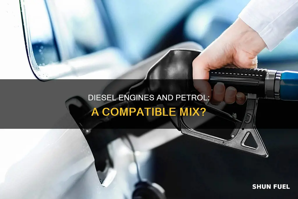 can a diesel engine run using petrol as fuel