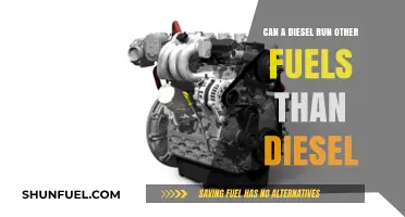 Diesel Engines: Running on Alternatives?