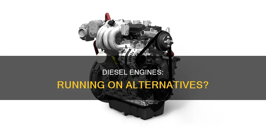 can a diesel run other fuels than diesel