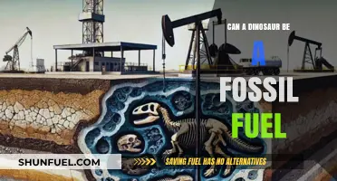 Dinosaur Fossilization: The Link to Fossil Fuels