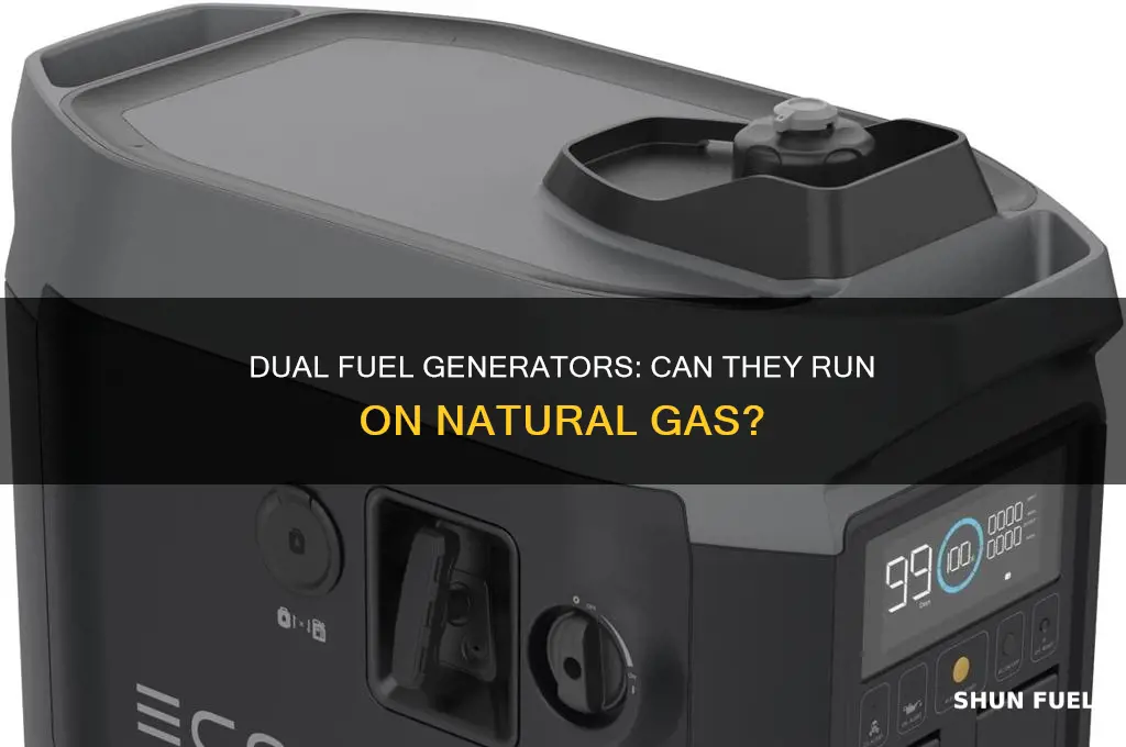 can a dual fuel generator run on natural gas
