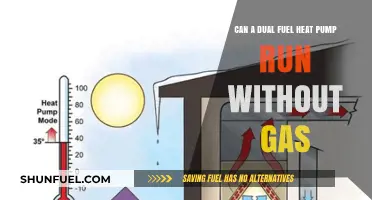 Can Dual Fuel Heat Pumps Operate Efficiently Without Gas?