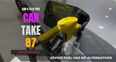 Flex Fuel Cars: Can They Run on 87 Octane Gasoline?