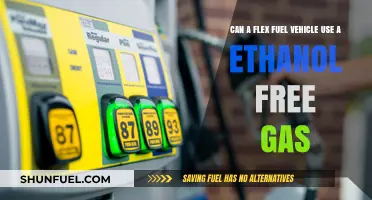 Flex Fuel Vehicles: Can They Run on Ethanol-Free Gasoline?
