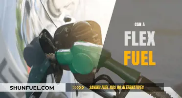 Can a Flex Fuel Vehicle Save You Money on Gas?
