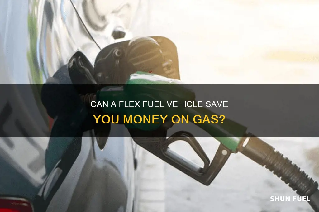 can a flex fuel