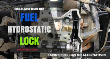 Fuel Hydrostatic Lock: Can a Flooded Engine Recover?