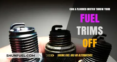 Flooded Motor Impact: How It Affects Fuel Trims and Performance