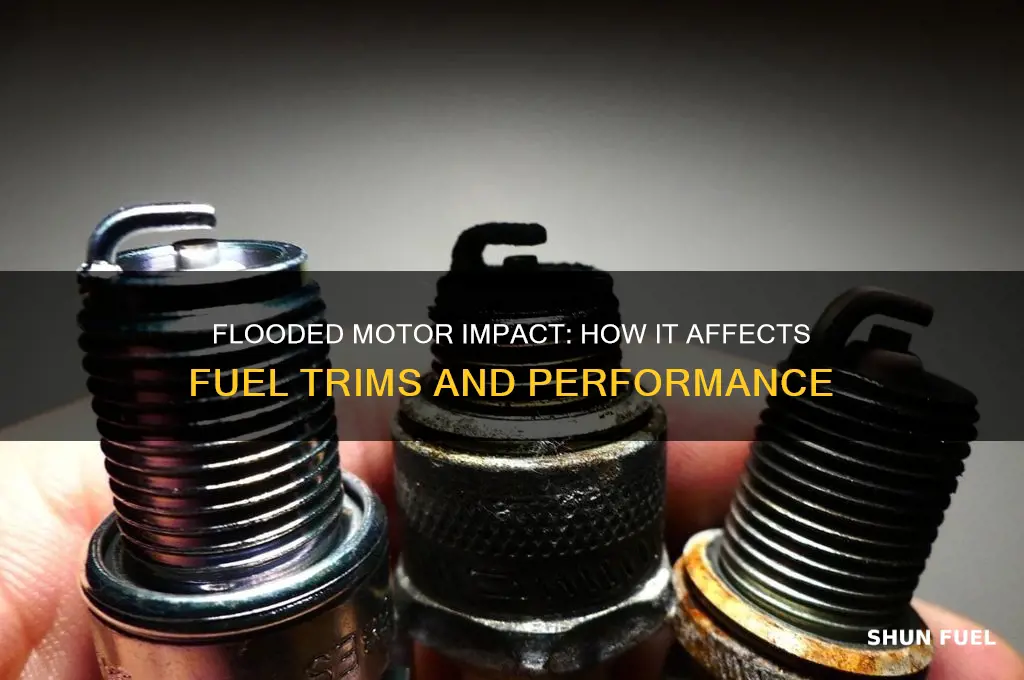 can a flooded motor throw your fuel trims off