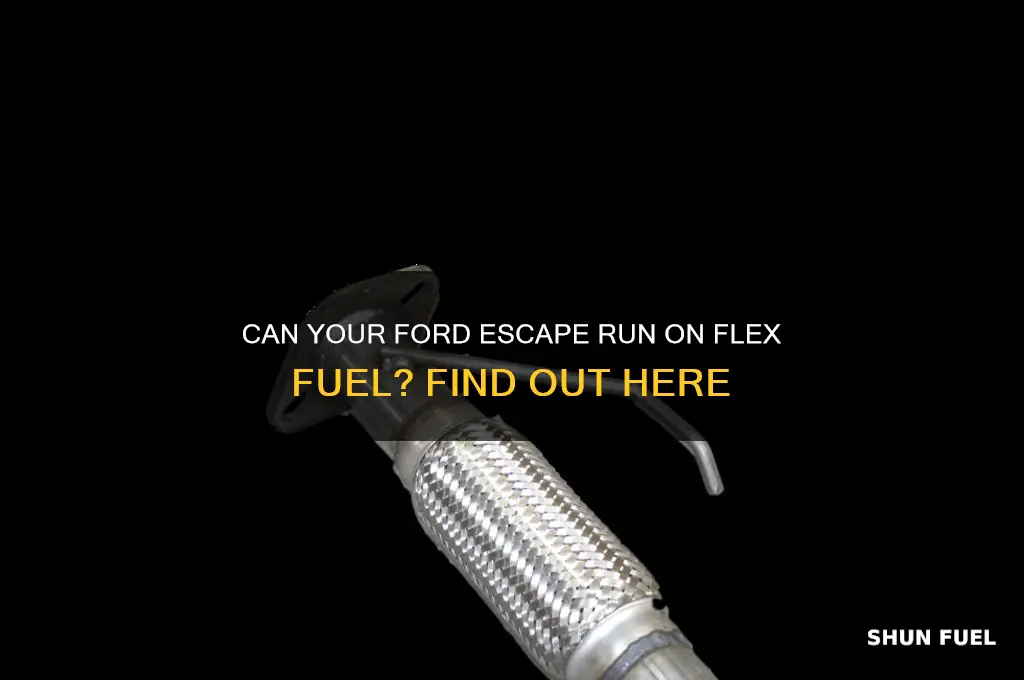can a ford escape use flex fuel