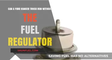 Can a Ford Ranger Operate Without a Fuel Regulator?