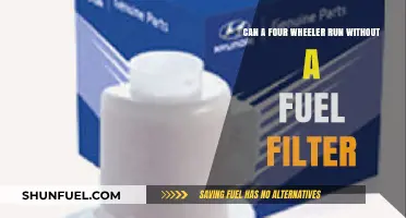 Fuel Filter: Necessary or Not?