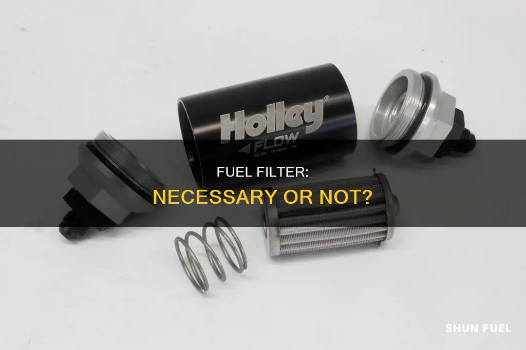 can a four wheeler run without a fuel filter