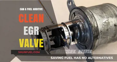 Fuel Additives: Effective EGR Valve Cleaning Solution or Myth?