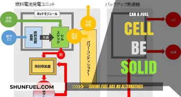 Exploring Solid Fuel Cells: A Revolutionary Energy Storage Solution