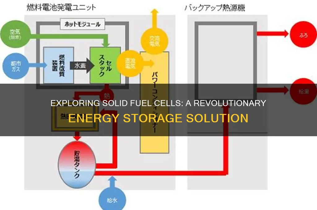 can a fuel cell be solid