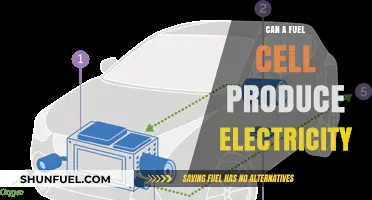 How Fuel Cells Generate Electricity: A Clean Energy Solution Explained