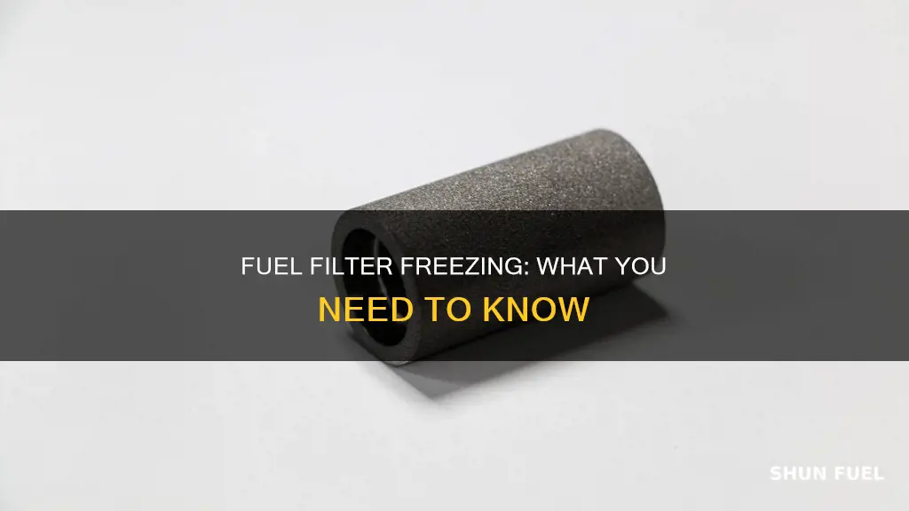 can a fuel filter freeze
