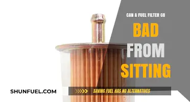 Fuel Filter Fail: Sitting Pretty or Sitting Badly?