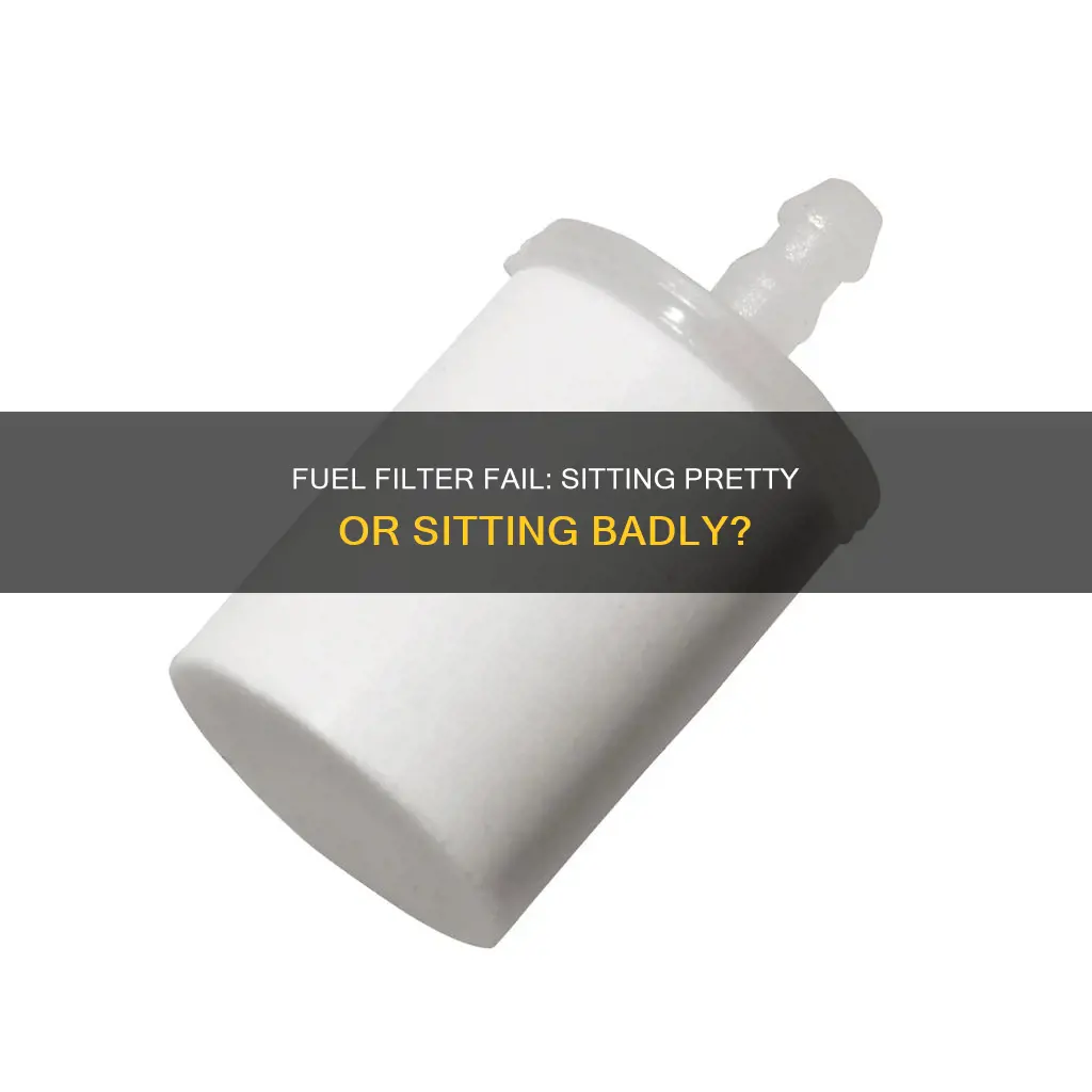 can a fuel filter go bad from sitting