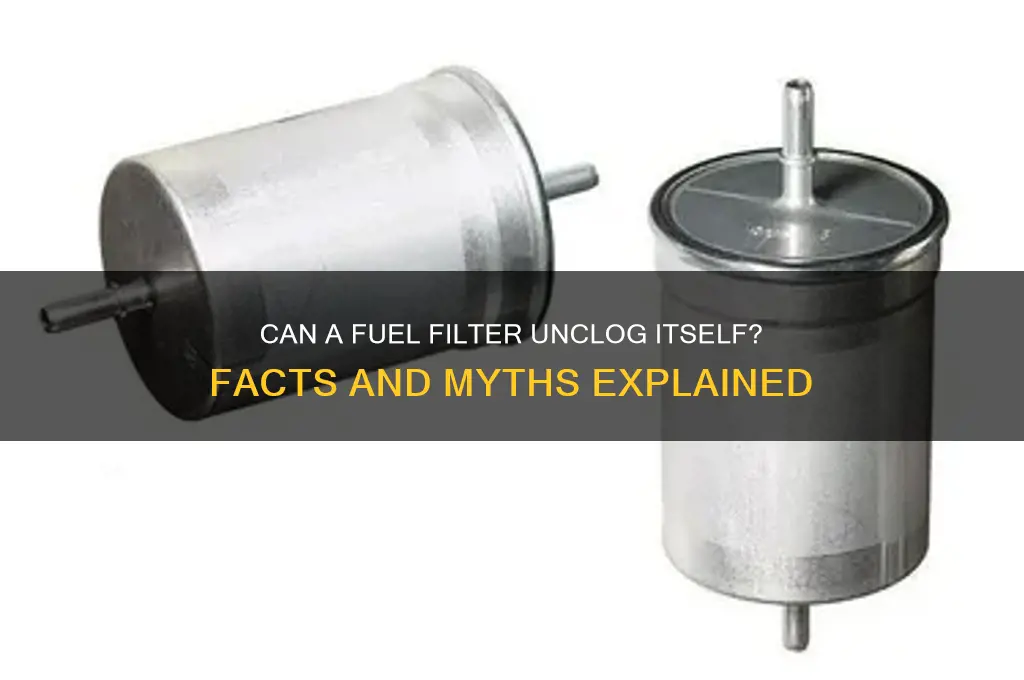 can a fuel filter unclog itself