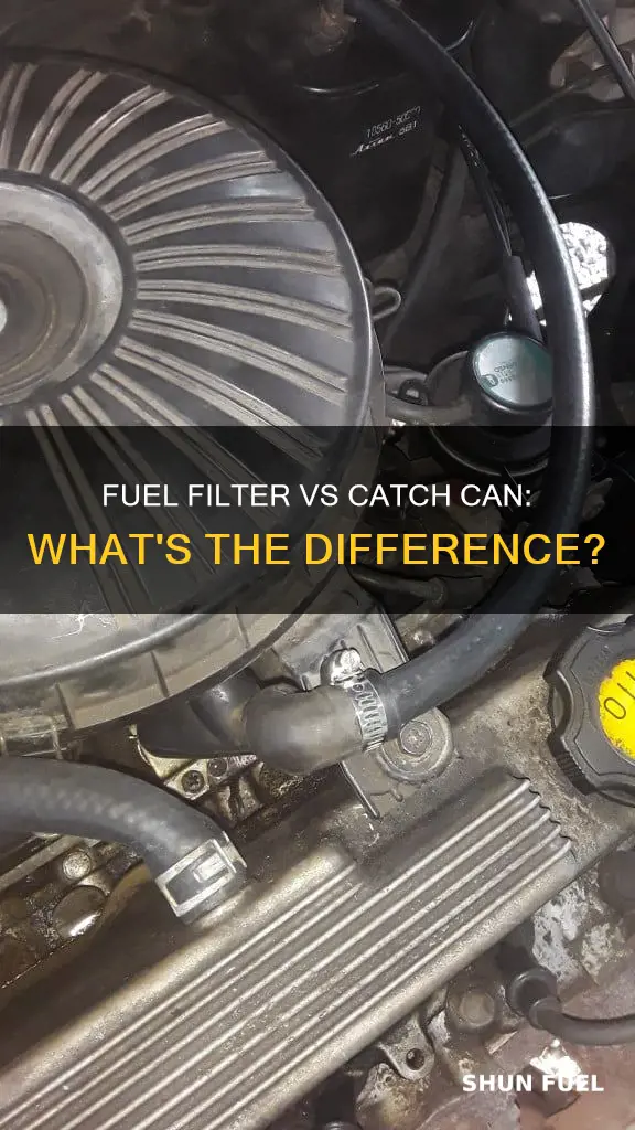 can a fuel filter work as a catch can