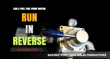 Can a Fuel Pump Motor Operate in Reverse Direction?
