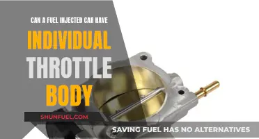 Fuel Injection and Throttle Control: Exploring Individual Throttle Body Options