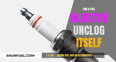 Fuel Injector Self-Cleaning: Myth or Reality?