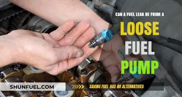 Loose Fuel Pump: A Common Cause of Fuel Leaks?