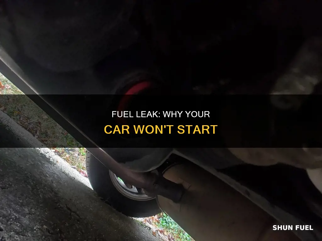 can a fuel leak cause car to not start