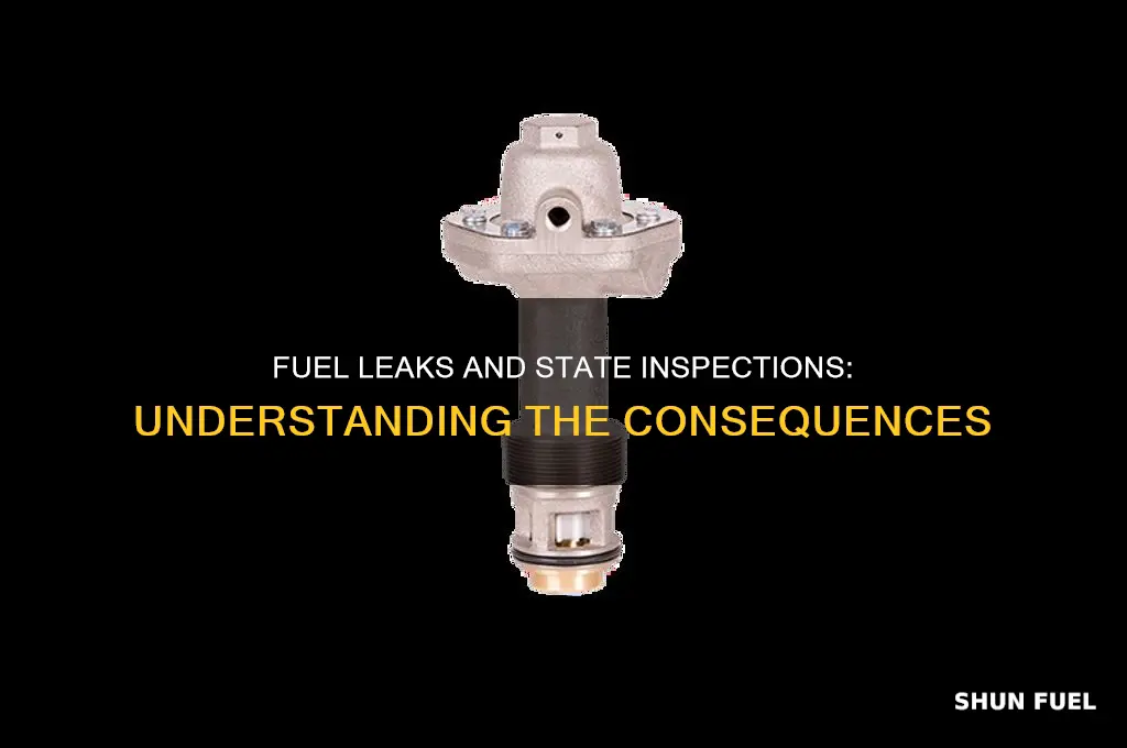 can a fuel leak fail state inspection