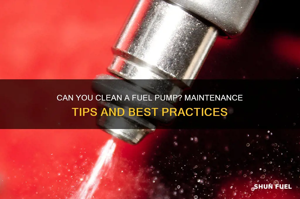 can a fuel pump be cleaned