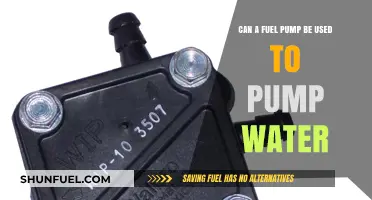 Can Fuel Pumps Safely and Effectively Pump Water? Expert Insights