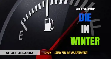 Can Winter Temperatures Cause Your Fuel Pump to Fail?
