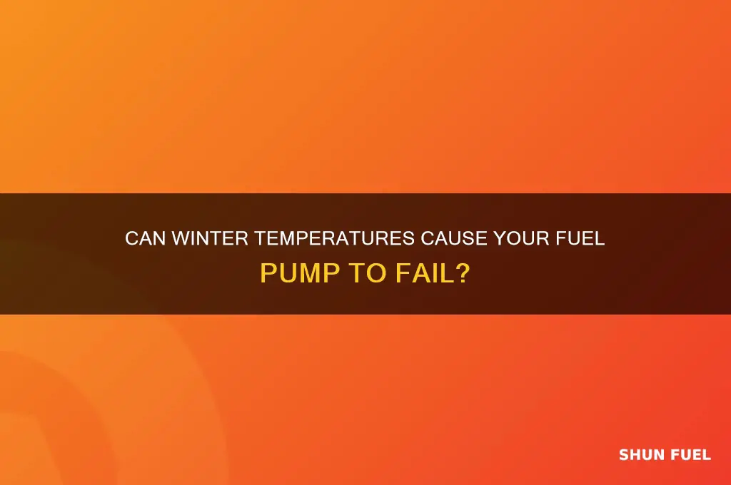 can a fuel pump die in winter