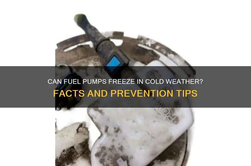 can a fuel pump freez