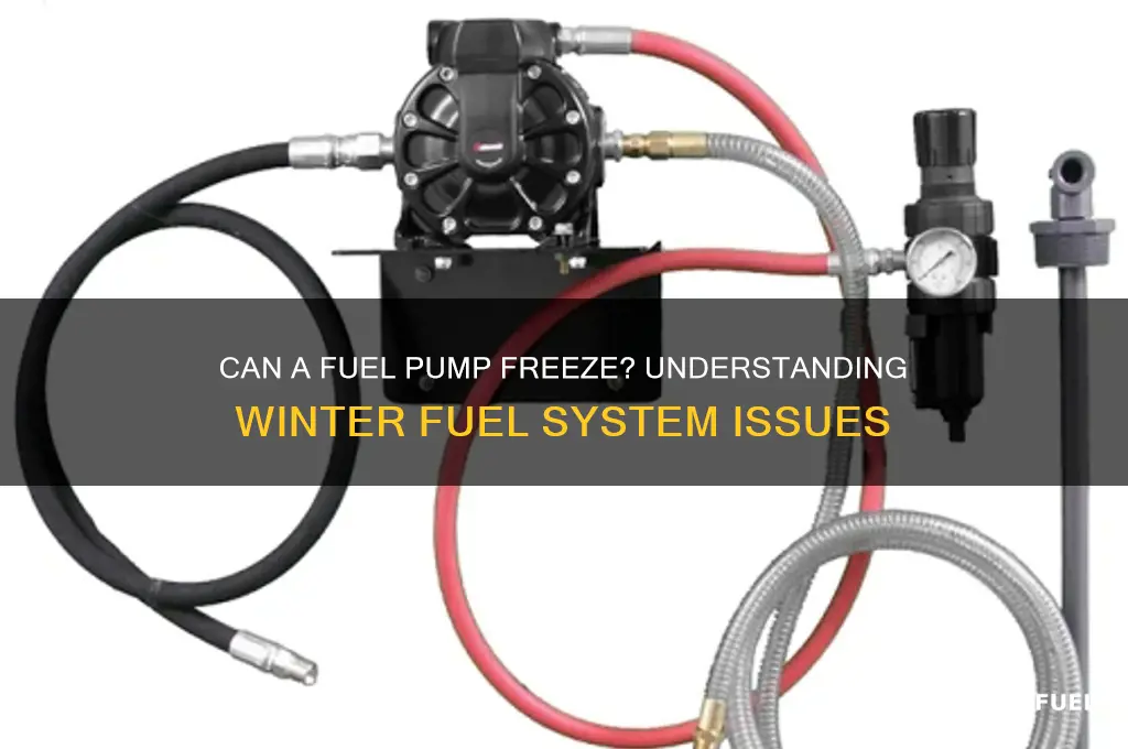 can a fuel pump freeze