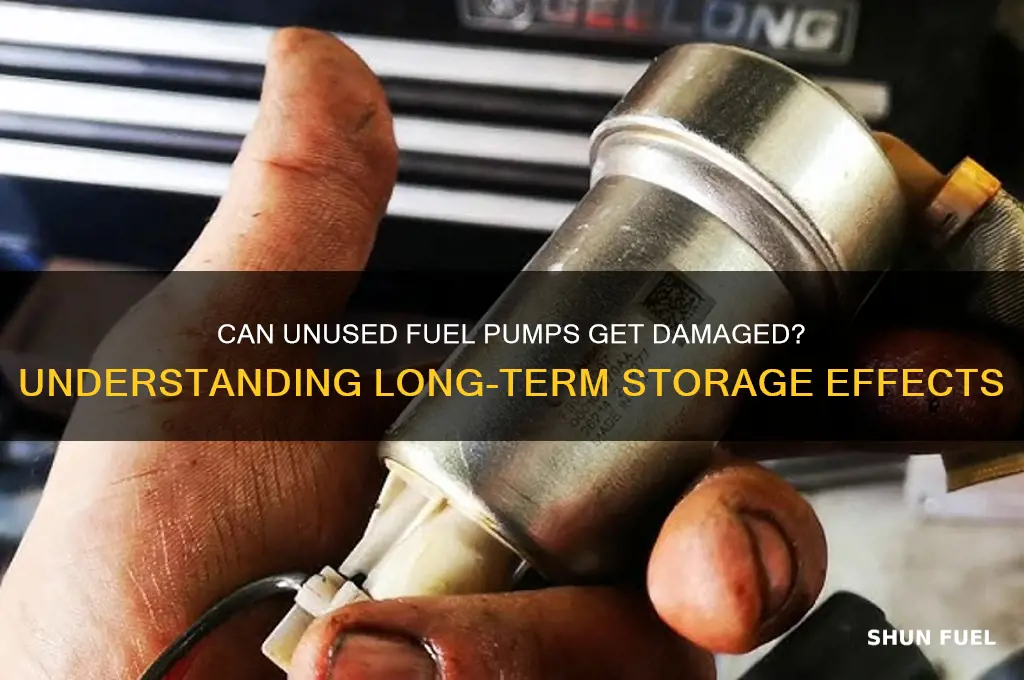 can a fuel pump get damaged from not being used
