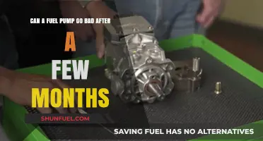Can a Fuel Pump Fail Shortly After Installation? Causes Explained