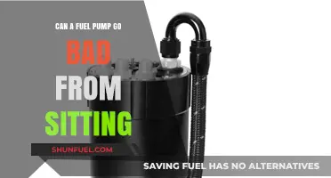 Can a Fuel Pump Fail After Prolonged Vehicle Inactivity?
