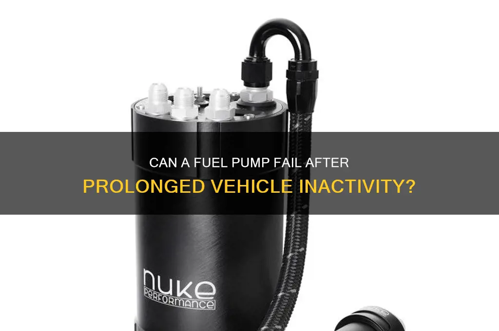 can a fuel pump go bad from sitting