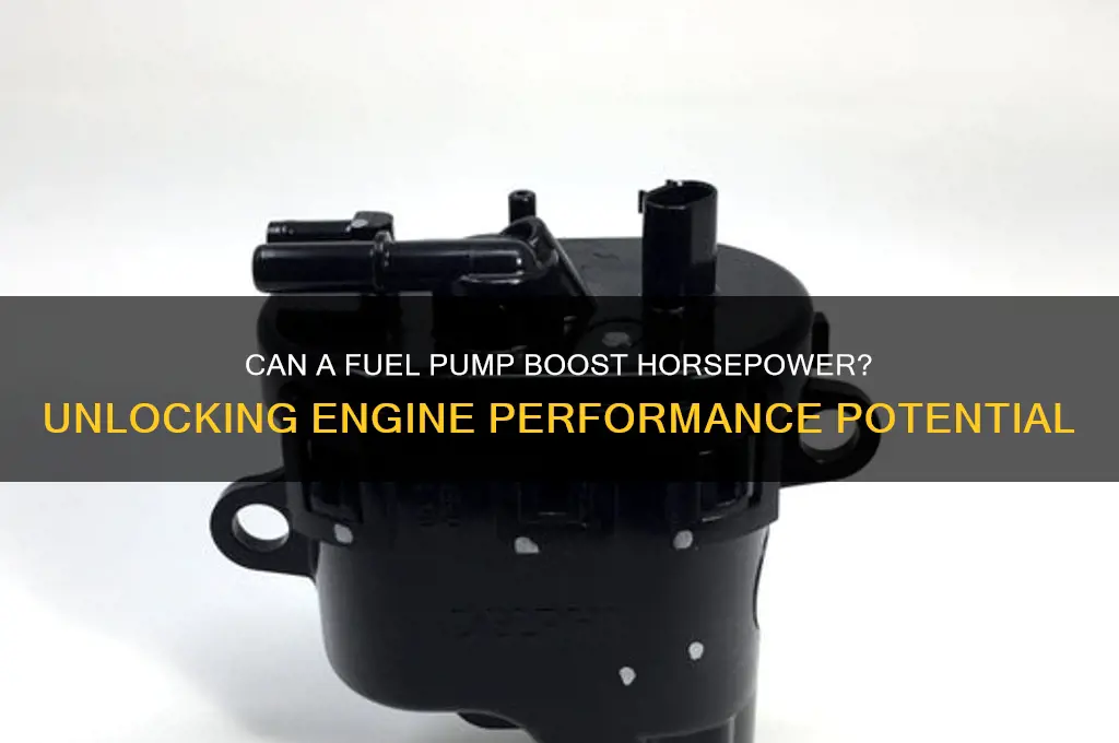 can a fuel pump increase horsepower