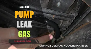 Can a Fuel Pump Leak Gas? Understanding the Risks and Signs