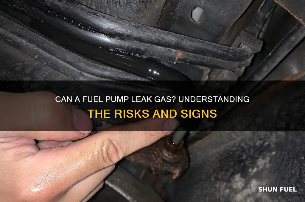 can a fuel pump leak gas