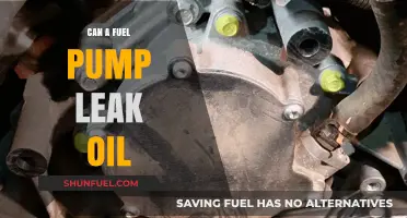 Can a Fuel Pump Leak Oil? Understanding Fuel System Mechanics