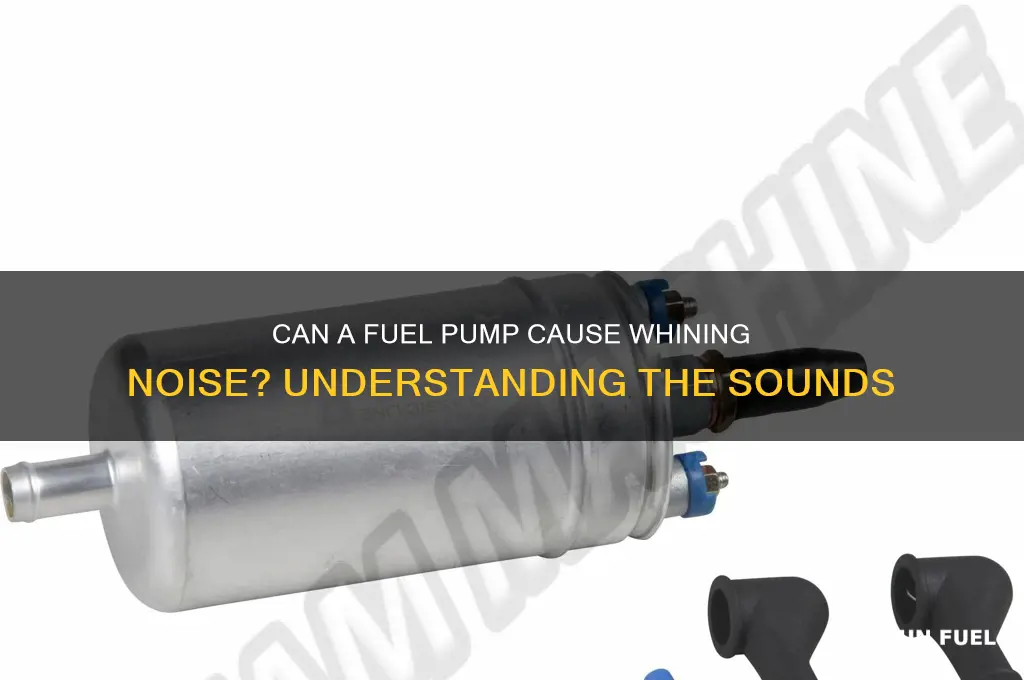 can a fuel pump make a whining noise