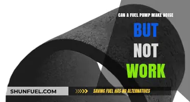 Fuel Pump Noise Without Function: Causes and Troubleshooting Tips