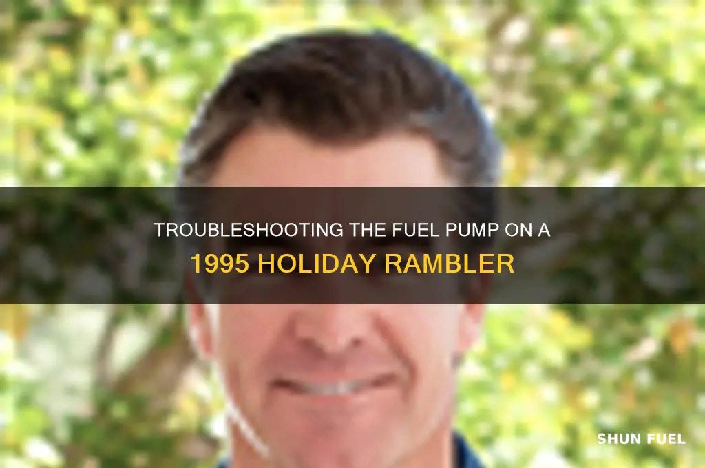 can a fuel pump on a 1995 holiday rambler