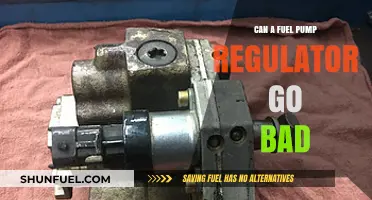 Can a Fuel Pump Regulator Fail? Signs and Solutions